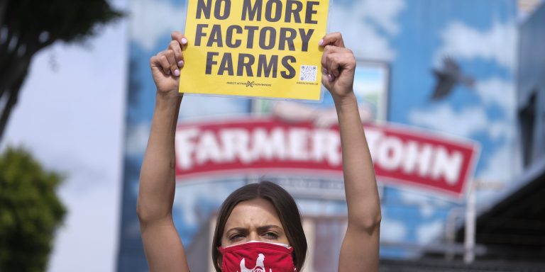 An animal rights activist holds a sign while protesting at the Farmer John slaughterhouse in Vernon, California, Monday, Feb 15, 2021.