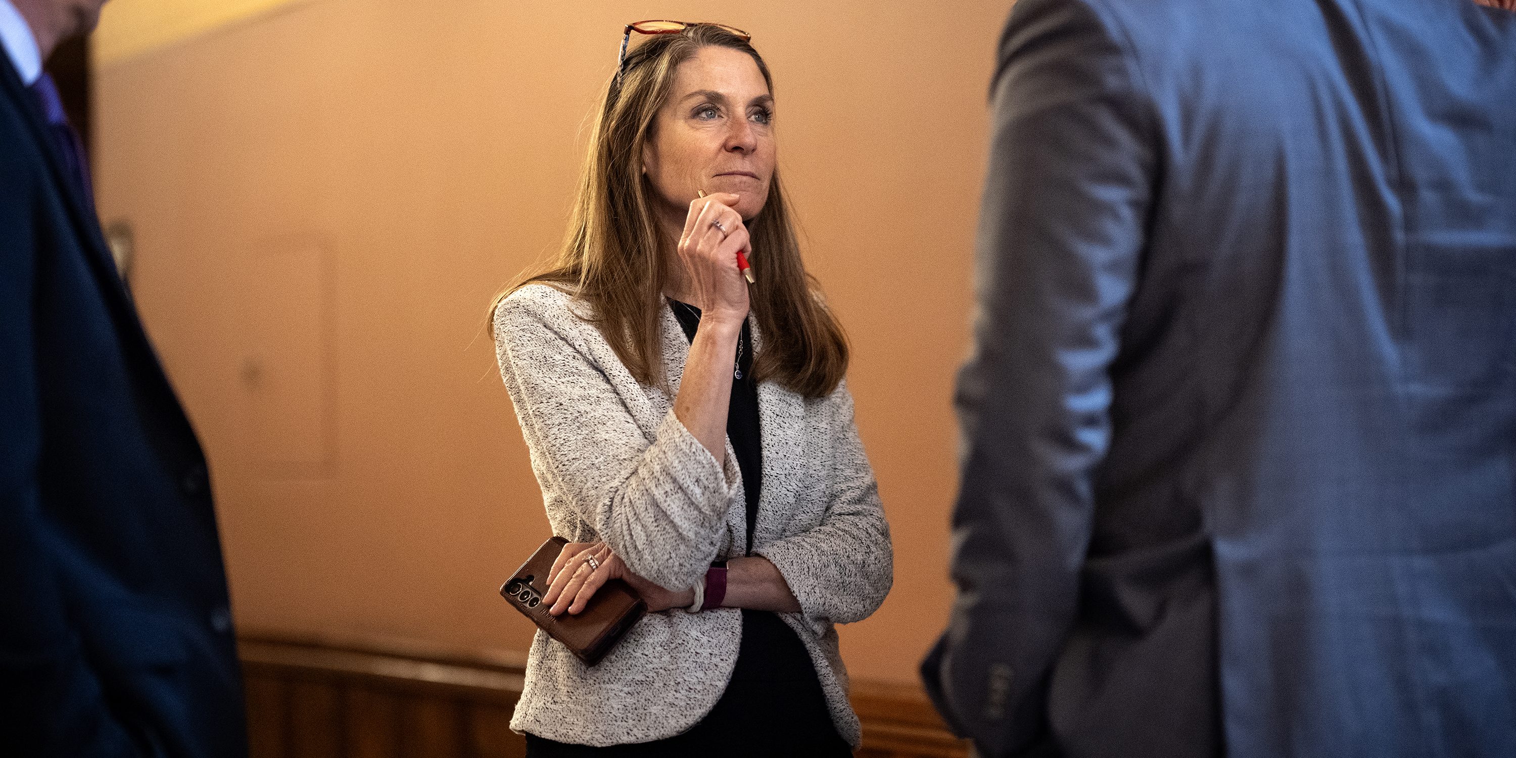State Sen. Laura Fine of Glenview, in the Illinois State Capitol in Springfield, Thursday, May 8, 2025. (E. Jason Wambsgans/Chicago Tribune/Tribune News Service via Getty Images)