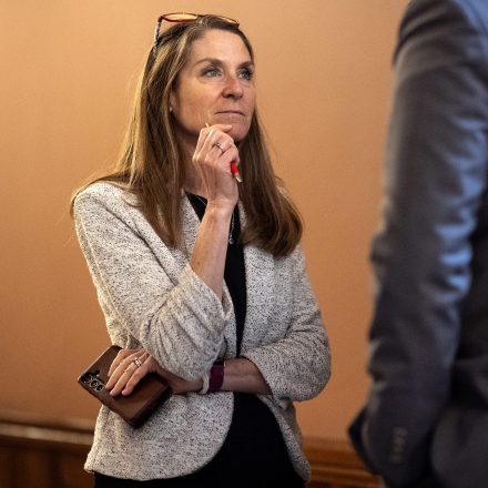 State Sen. Laura Fine of Glenview, in the Illinois State Capitol in Springfield, Thursday, May 8, 2025. (E. Jason Wambsgans/Chicago Tribune/Tribune News Service via Getty Images)